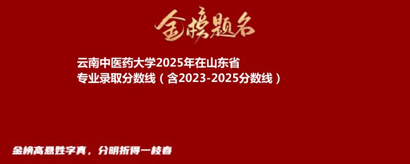 云南中医药大学2025年在山东省专业录取分数线（含2023-2025分数线）