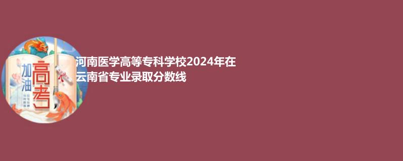河南医学高等专科学校2024年在云南省录取分数线