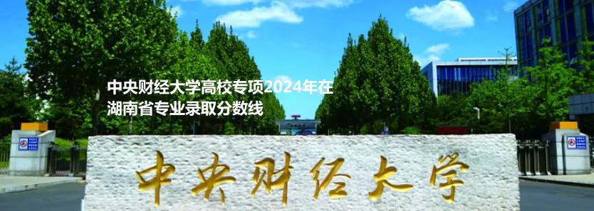 中央财经大学高校专项2024高考湖南省专业录取分数线