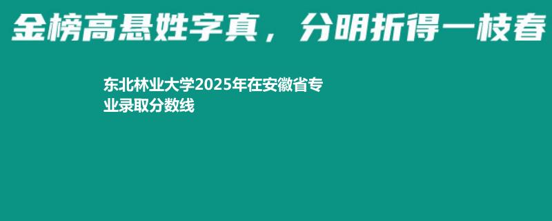 东北林业大学2025年在安徽省专业录取分数线