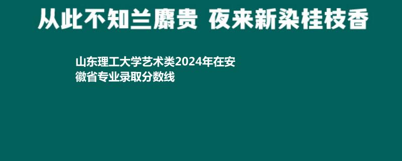 山东理工大学艺术类2024年在安徽专业录取分数线