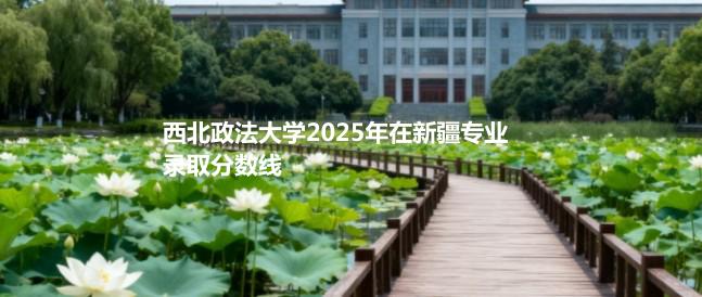 西北政法大学2025年在新疆专业录取分数线