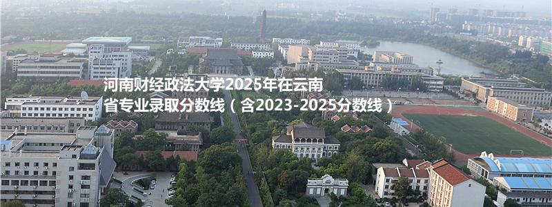 河南财经政法大学2025年广东录取分数线