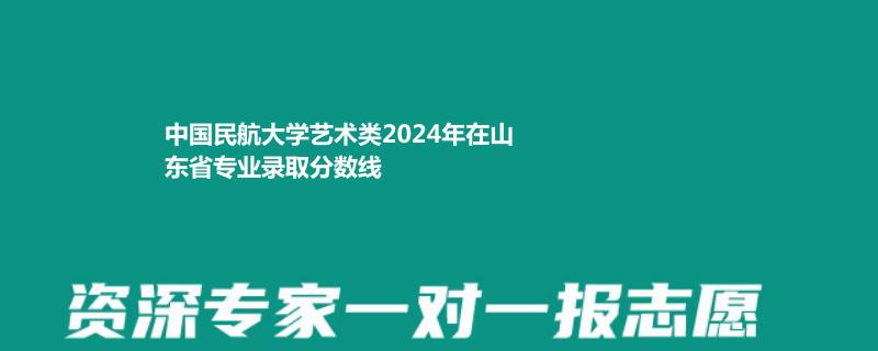 中国民航大学艺术类2024年在山东省专业录取分数线