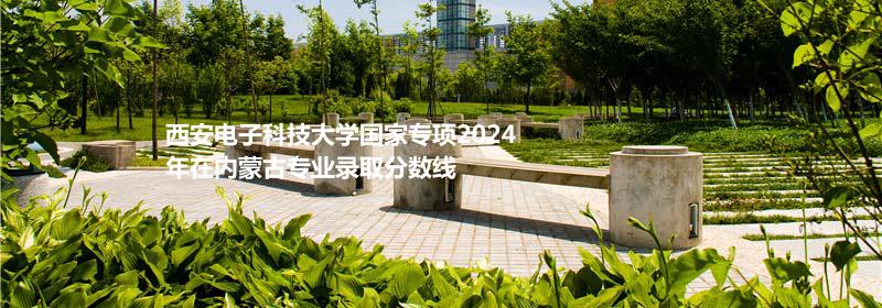 西安电子科技大学国家专项2024内蒙古专业录取分数线