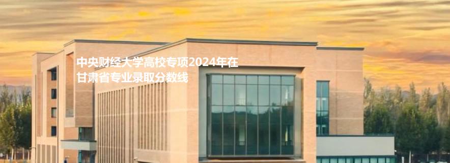 中央财经大学高校专项2024高考甘肃省专业录取分数线