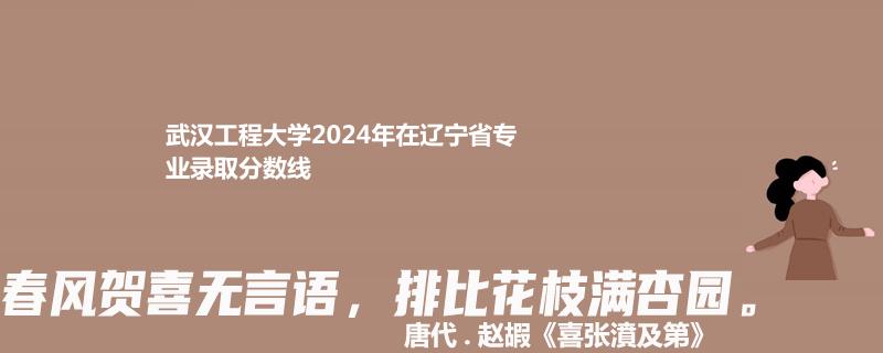武汉工程大学2024年在辽宁省专业录取分数线