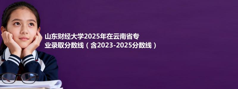 山东财经大学2025年在云南省专业录取分数线（含2023-2025分数线）