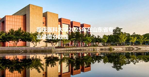 重庆医科大学2025年在山东省专业录取分数线