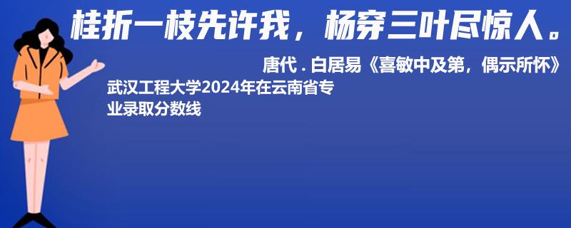 武汉工程大学2024年在云南省专业录取分数线