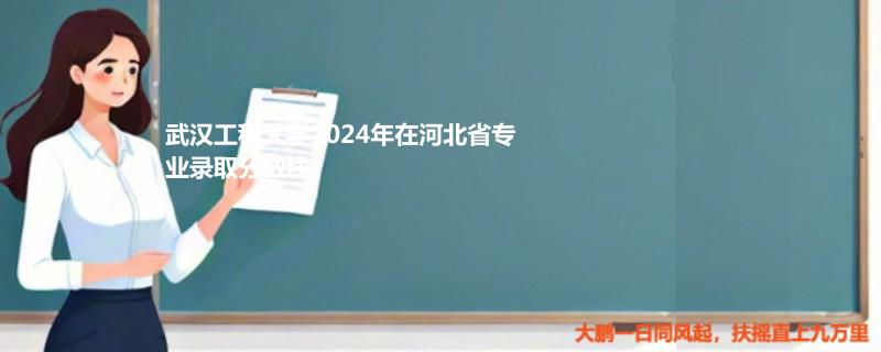 武汉工程大学2024年在河北省专业录取分数线