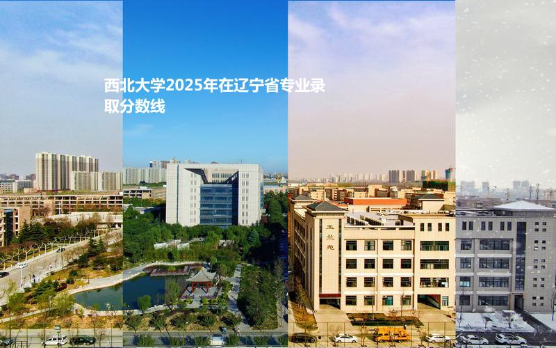 西北大学2025年在辽宁省专业录取分数线