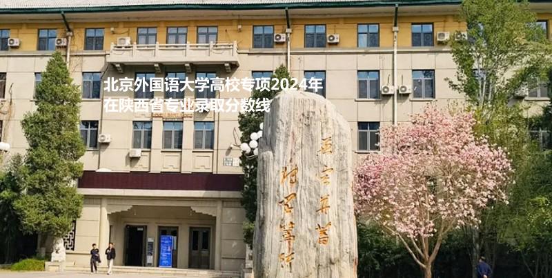 北京外国语大学高校专项2024年在陕西省专业录取分数线
