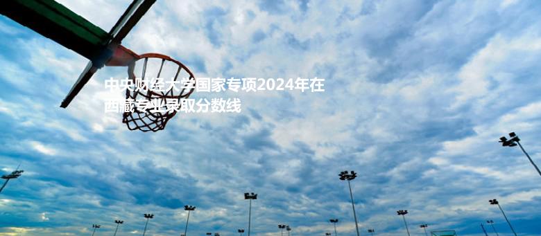 中央财经大学国家专项2024高考西藏专业录取分数线