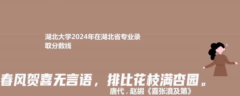湖北大学2024年在湖北省专业录取分数线