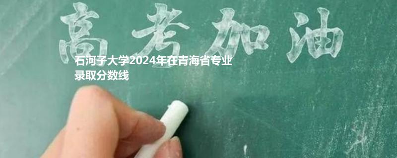 石河子大学2024年在青海省专业录取分数线