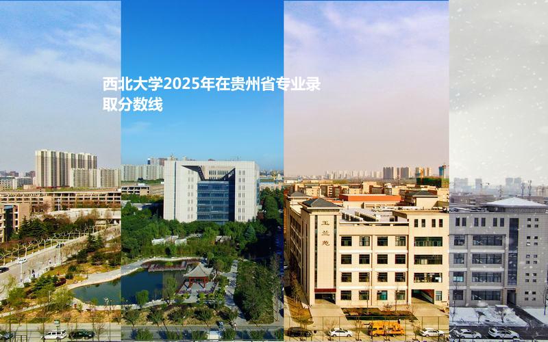 西北大学2025年在贵州省专业录取分数线